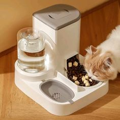 PET FEEDING ACCESSORIES- Bowls & Feeders
