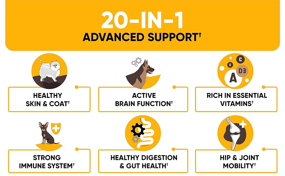 Dog Multivitamin for Support Digestion