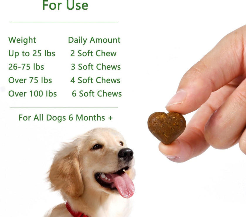 Dog Multivitamin for Support Digestion