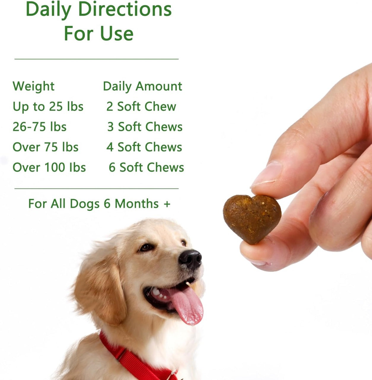 Dog Multivitamin for Support Digestion