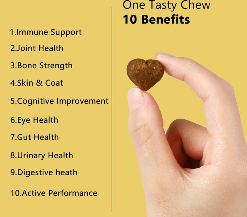 Dog Multivitamin for Support Digestion