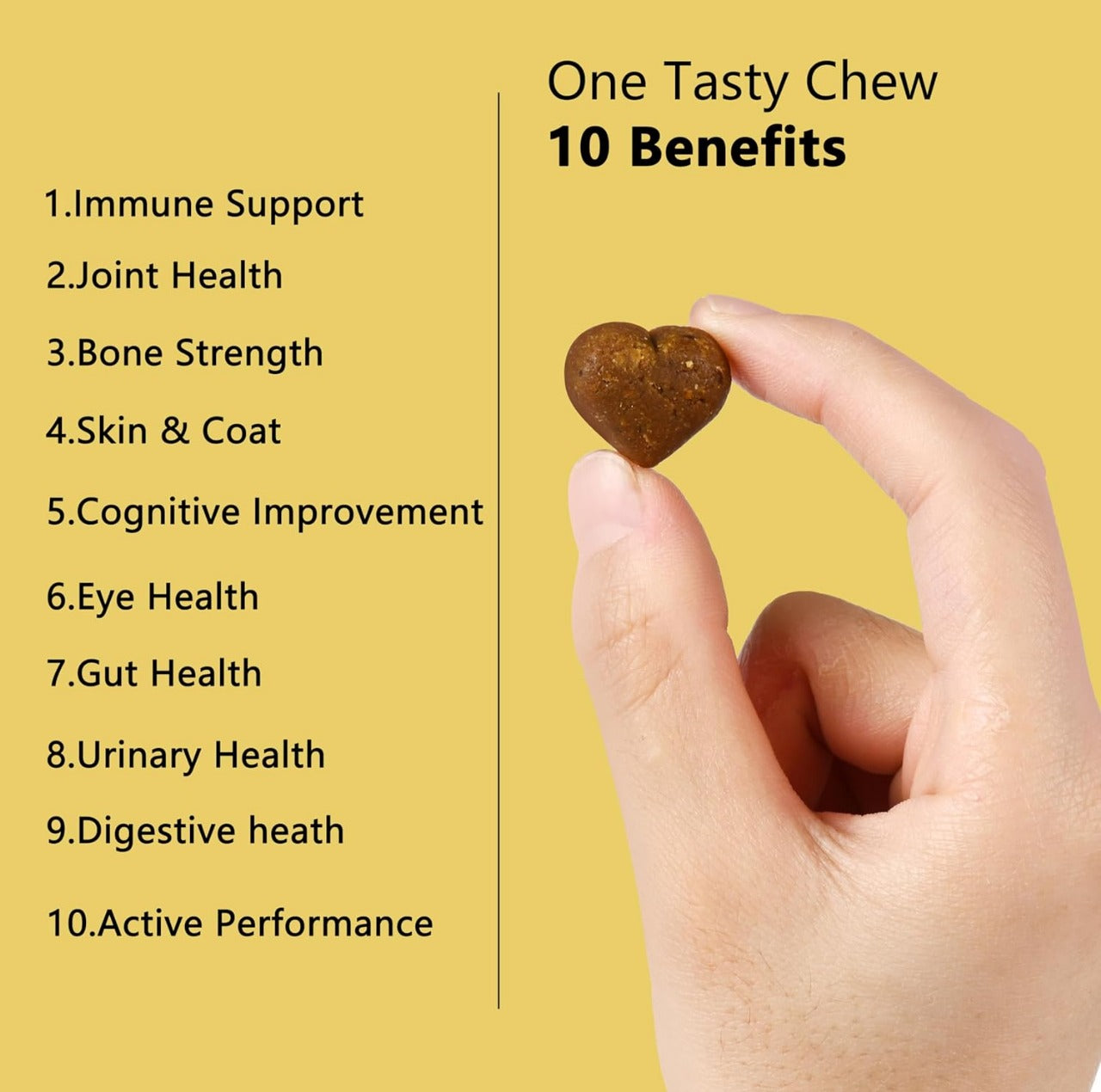 Dog Multivitamin for Support Digestion