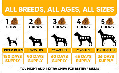 Dog Multivitamin for Support Digestion