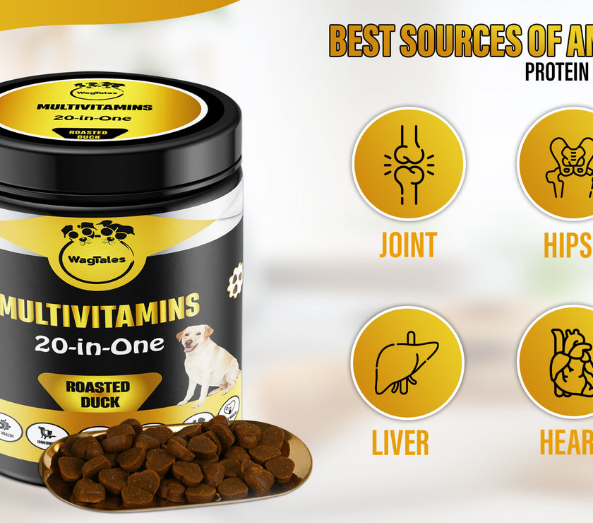 Dog Multivitamin, Chewable