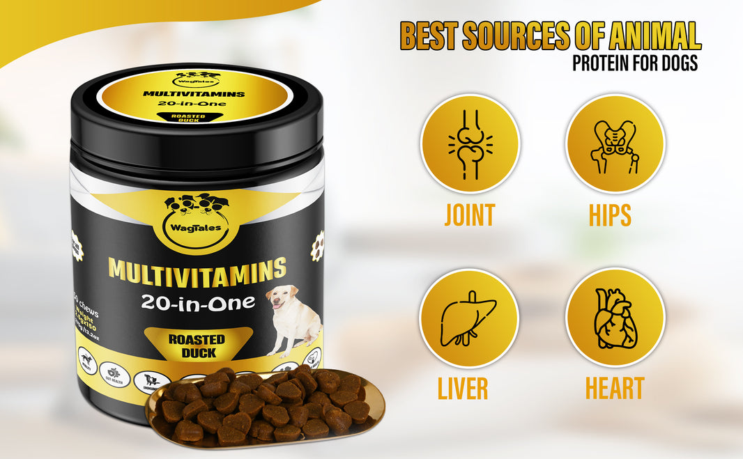 Dog Multivitamin, Chewable