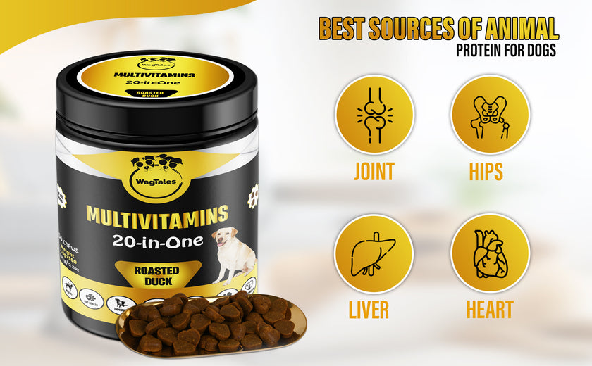 Dog Multivitamin, Chewable