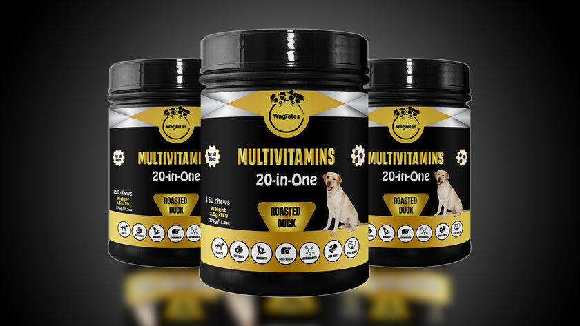Dog Multivitamin, Chewable