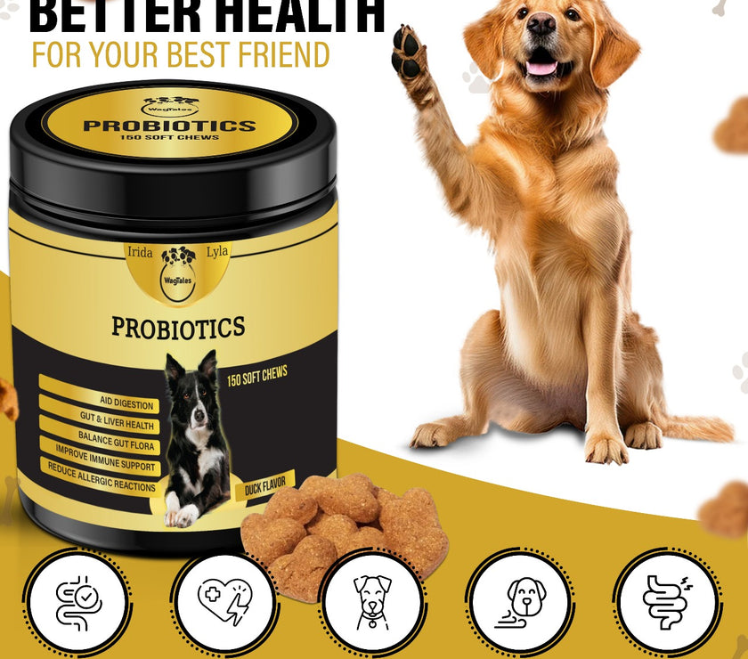 Probiotics for Dogs - 150 Chews | Duck Flavored