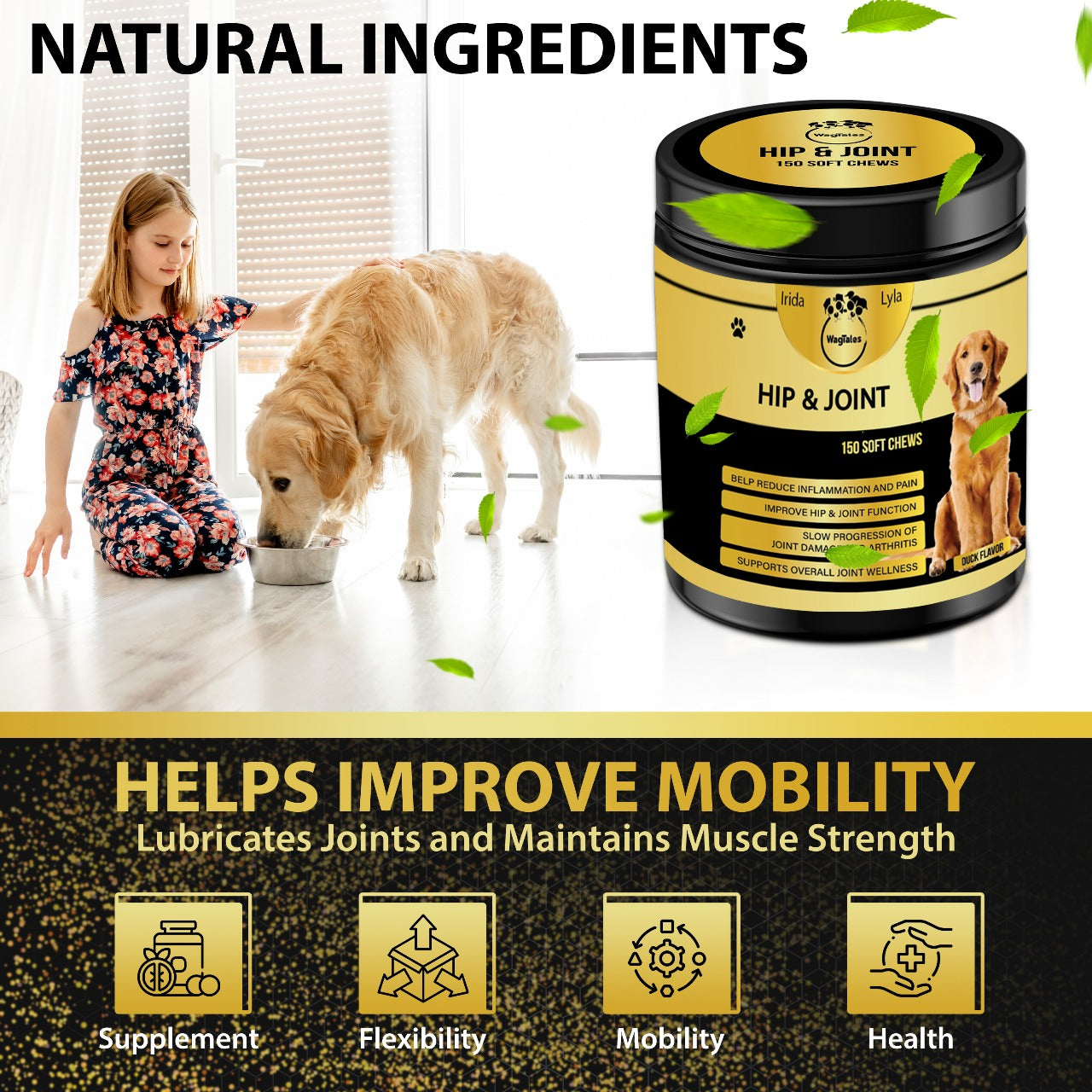 WagTales | Hip and Joint Health | Dog Joint Supplement Health