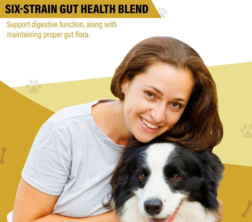 Probiotics for Dogs - 150 Chews | Duck Flavored
