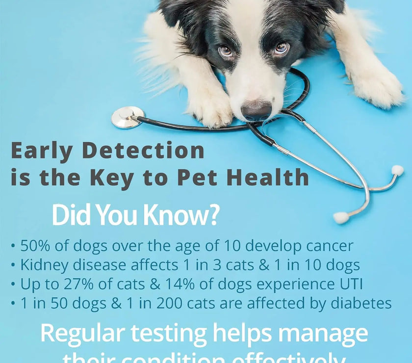 Pet Urine Testing Strips, 100 Urinalysis Parameter Tests for Dogs,Cats,Vets, Accurate Testing for Veterinarians, Detects UTI pH