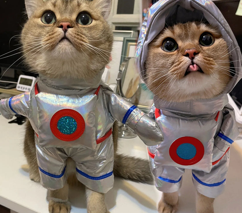 Funny Pet Clothes for Dogs Space Suit Pet Cosplay Clothing Puppy Cat Astronaut Costumes Halloween Party Dress Up Cat Dog Clothes