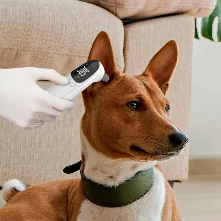 Pet Thermometers For Dogs Vet Tech Thermometers Accurate Fever Detection Device For Pet Pet Supplies Veterinary Thermometers