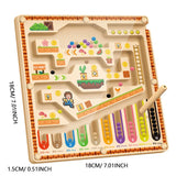 Kid Magnetic Maze Walking Ball