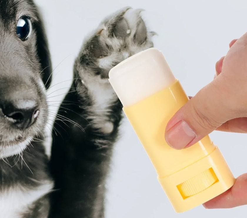 15gPet Paw Balm Cat Dog Caring Supplies Foot Moisturizer Household Care Winter Paws Cream Cat Grooming Dog Supplies Pet Products