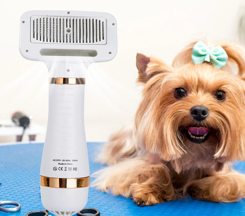 Pet Dog Hair Dryer 2-in-1 Cat Dog Dryer Grooming And Care Adjustable Temperature Low Noise Pet Blow Dryer Comb Cat Dog Supplies