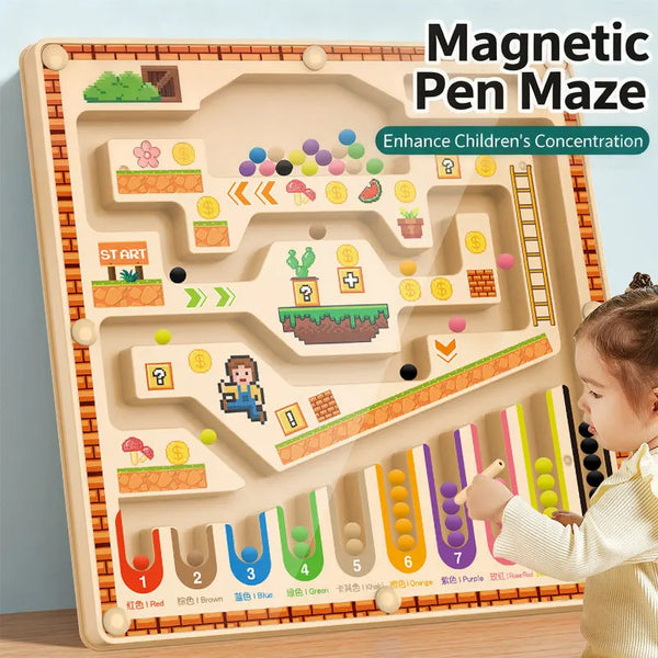Kid Magnetic Maze Walking Ball