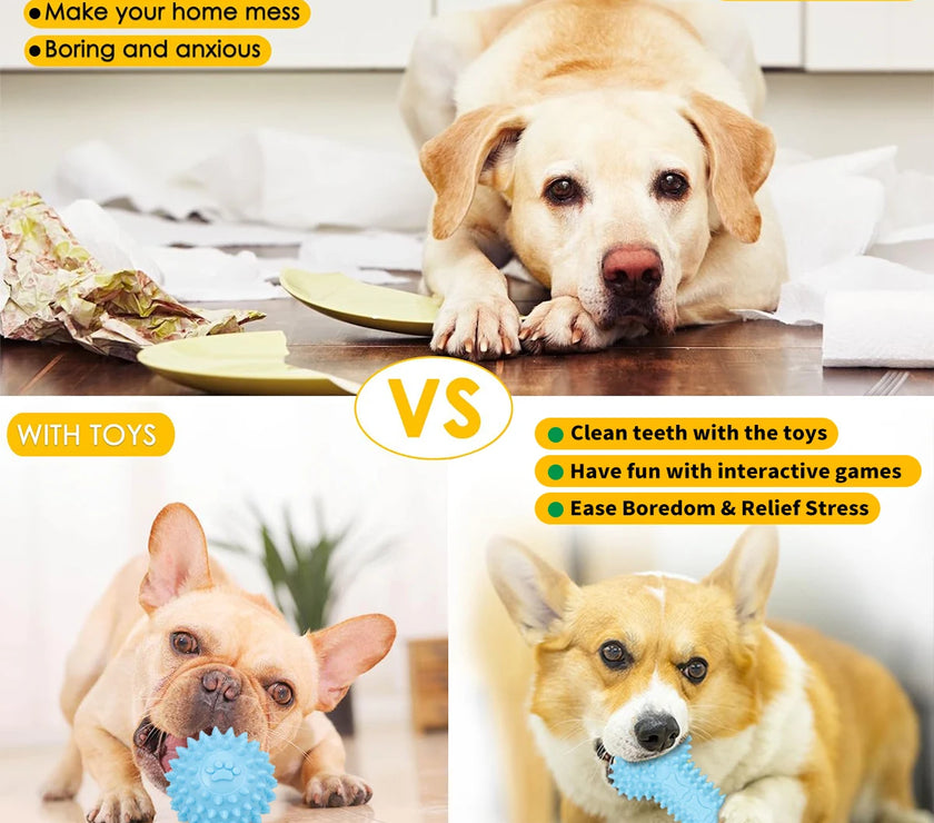 5-pack pet toys plush dog toys teething pet toys