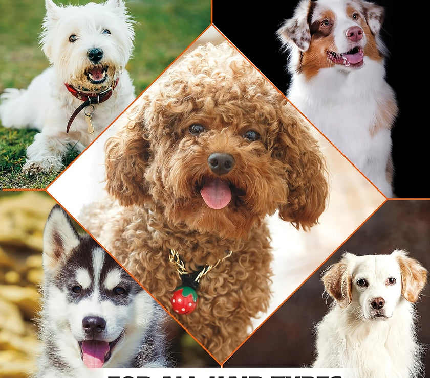 Pet Bath Gel,Pet Shampoo,Cat and Dog Bath Gel,Gentle Soothing Formula,Suitable for Cats and Dogs,Cares for Pet Hair Health,500ml