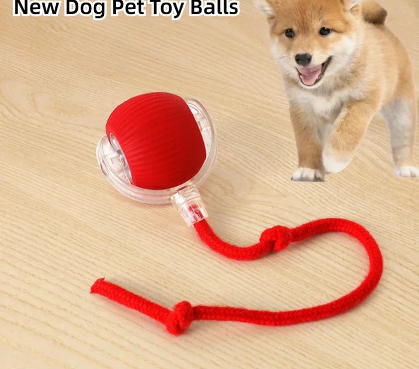 Interactive Dog Toys Rechargeable Pet Interactive Toys Electric Cats Ball  Automatic Rolling Fake Tail Ball Dog  Cats Toy
