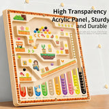 Kid Magnetic Maze Walking Ball