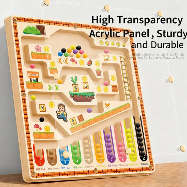 Kid Magnetic Maze Walking Ball