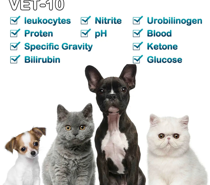 Pet Urine Testing Strips, 100 Urinalysis Parameter Tests for Dogs,Cats,Vets, Accurate Testing for Veterinarians, Detects UTI pH