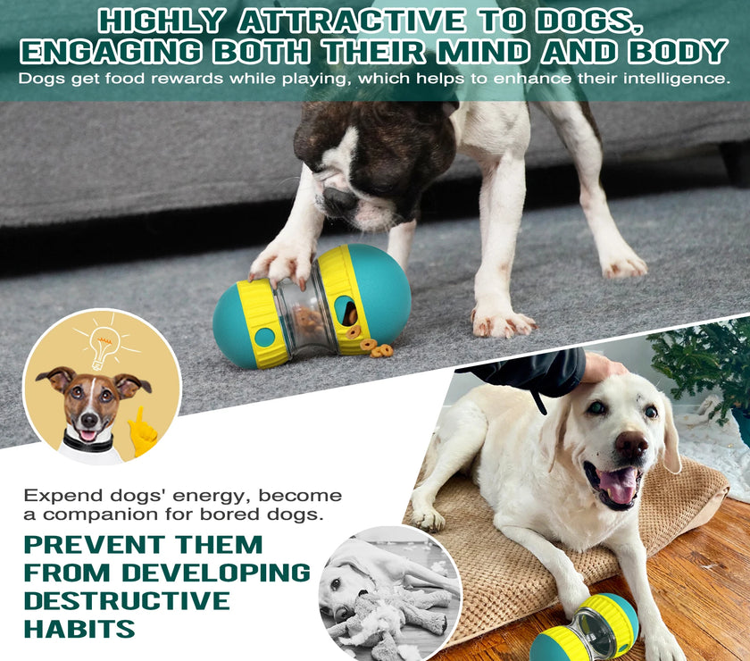 Interactive Dog Toys For Small Large Dogs Cats Improve IQ Indoor Training Puppy Toys Chihuahua French Bulldog Pug Pet Supplies