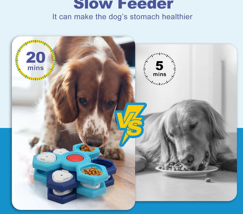 Pet Bowl, Cat Slow Food Bowl, Pet Intelligence, Pet Training, New Dog Bowl, Slow Food Dog Plate