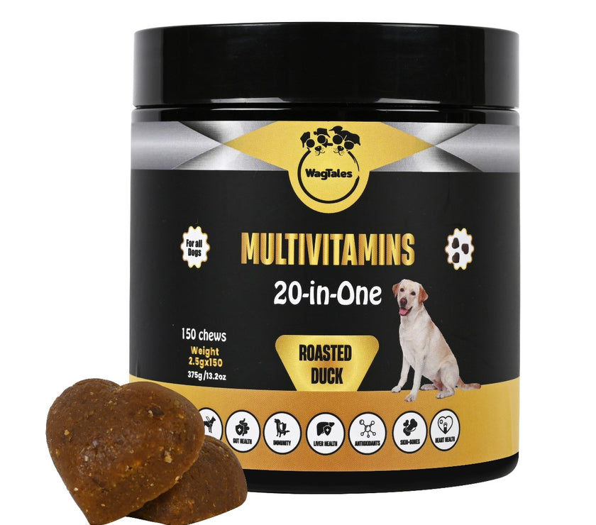 Dog Multivitamin for Support Digestion