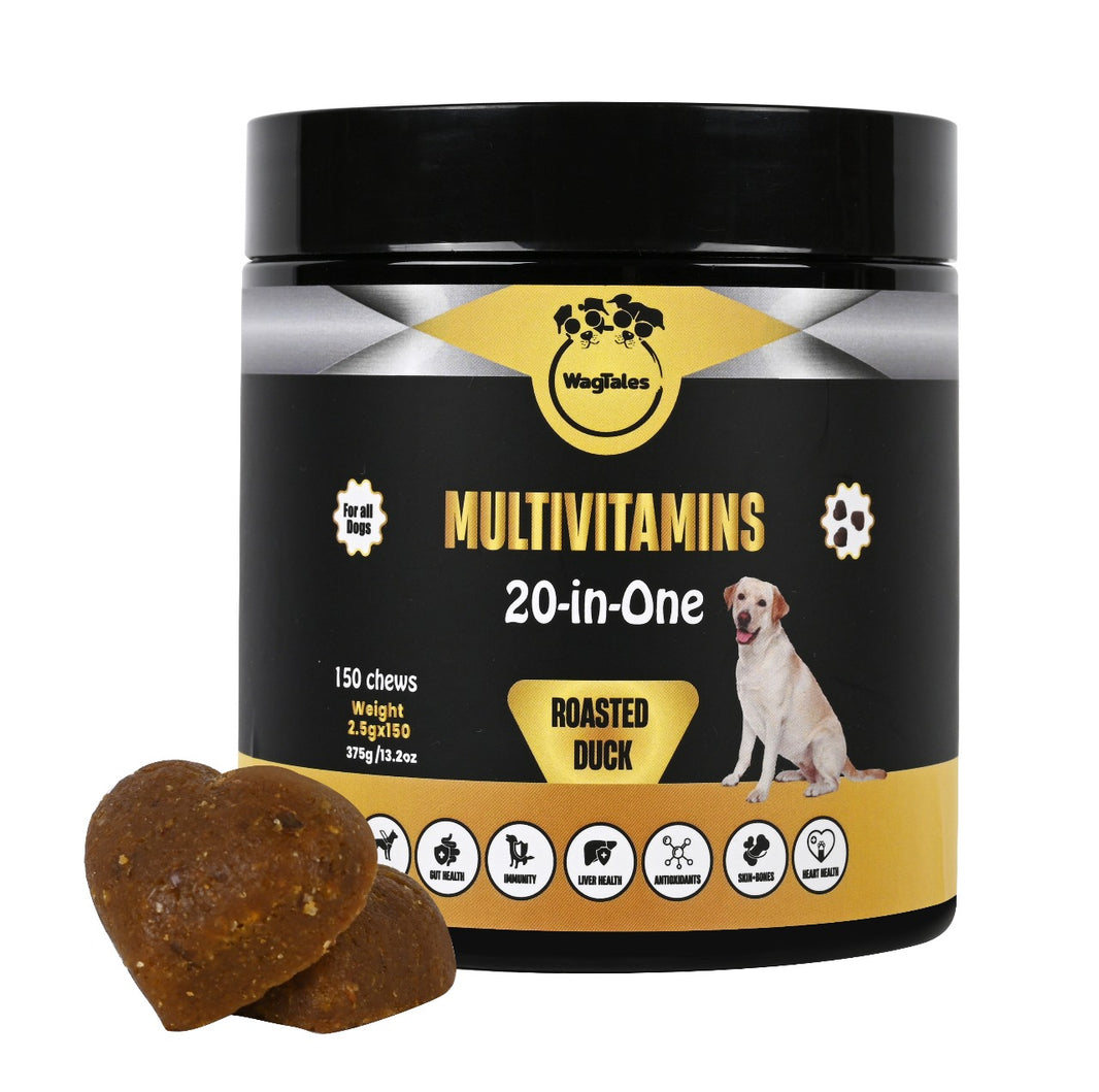 Dog Multivitamin for Support Digestion