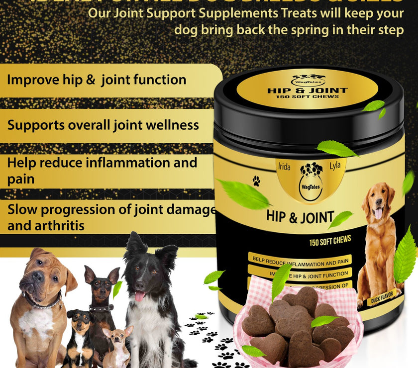 WagTales | Hip and Joint Health | Dog Joint Supplement Health