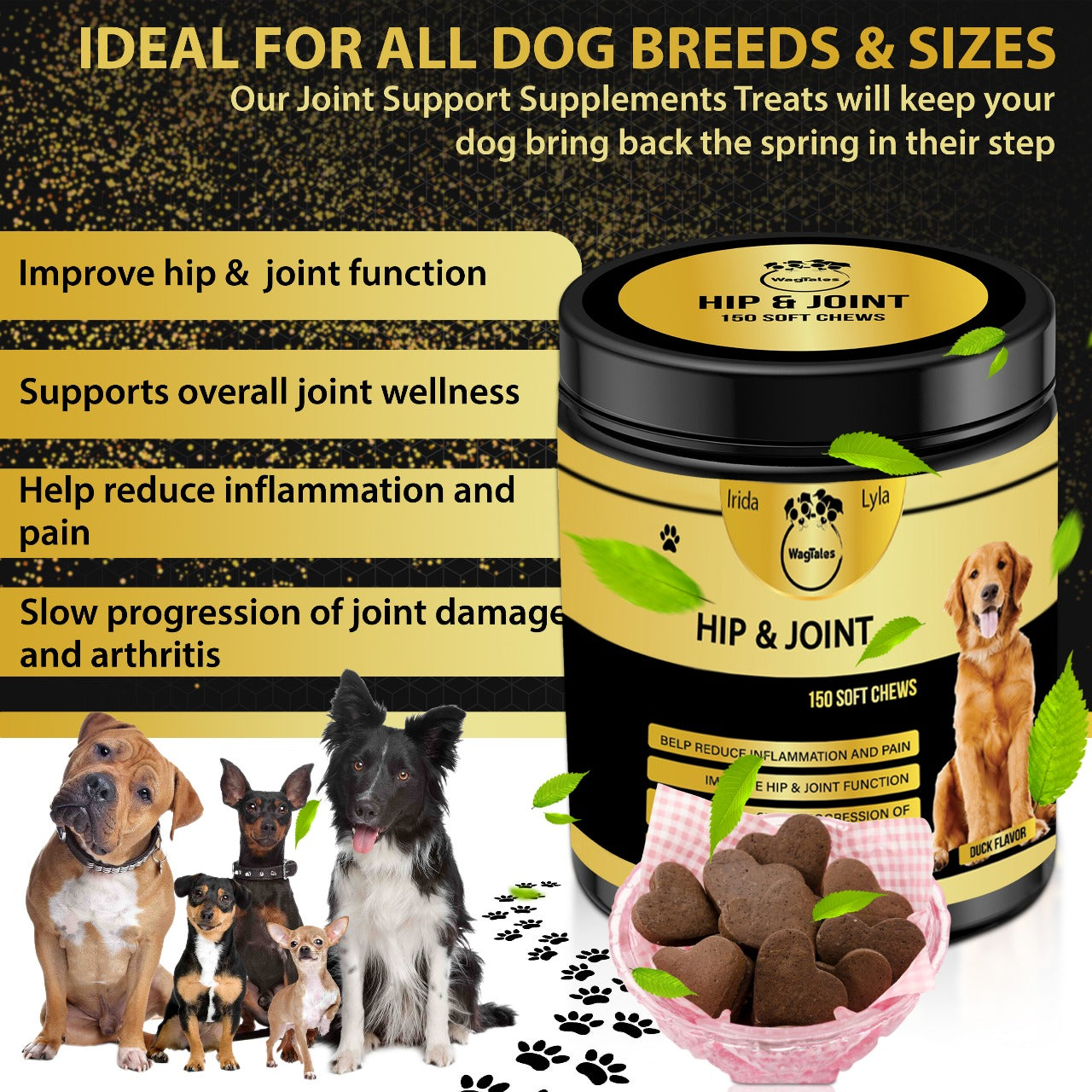 WagTales | Hip and Joint Health | Dog Joint Supplement Health