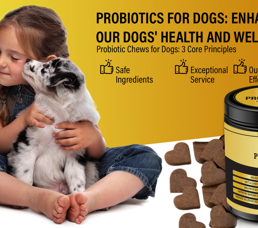 Dog Vitamins (Probiotics )