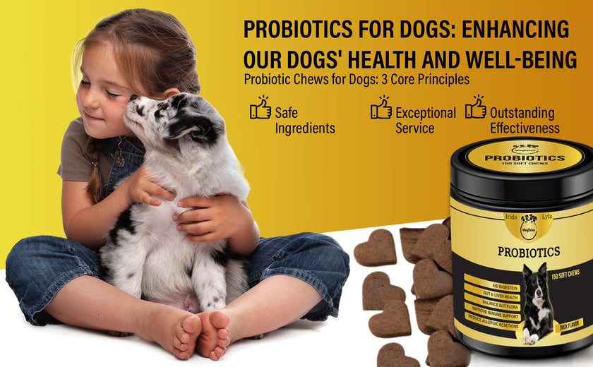 Dog Vitamins (Probiotics )