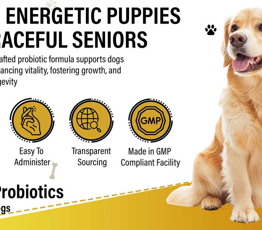 Dog Vitamins (Probiotics )