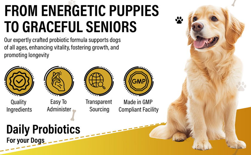 Dog Vitamins (Probiotics )