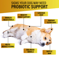Dog Vitamins (Probiotics )