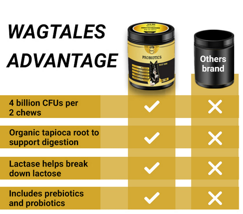 Dog Vitamins (Probiotics )