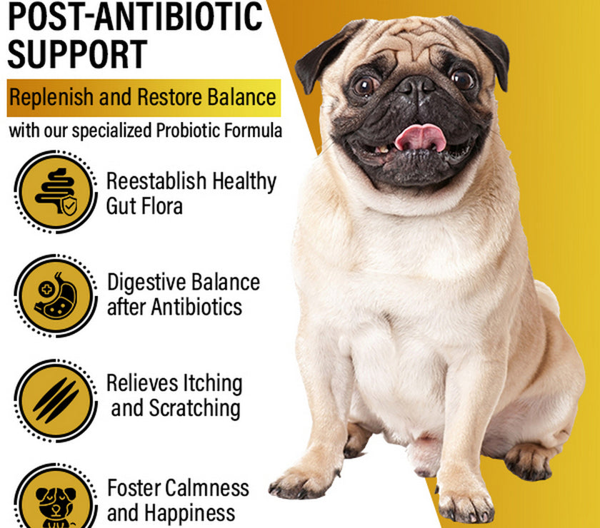 Dog Vitamins (Probiotics )
