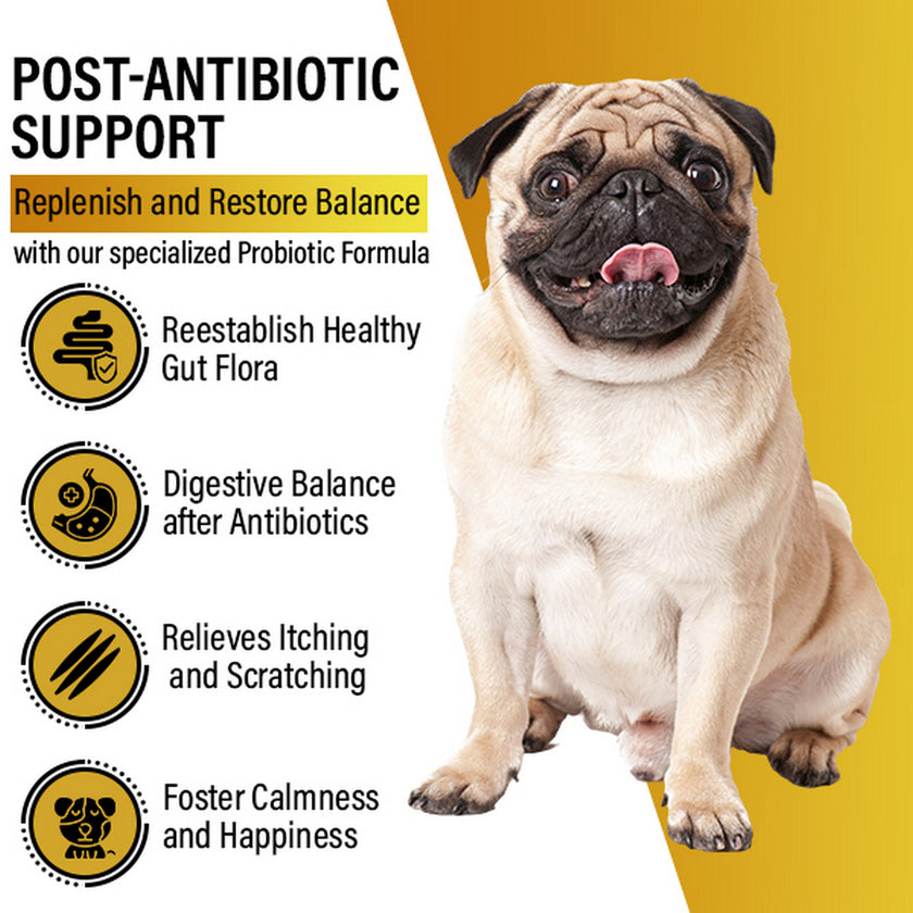 Dog Vitamins (Probiotics )