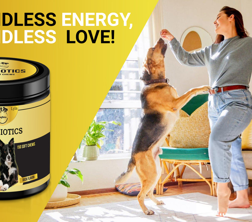 Dog Vitamins (Probiotics )
