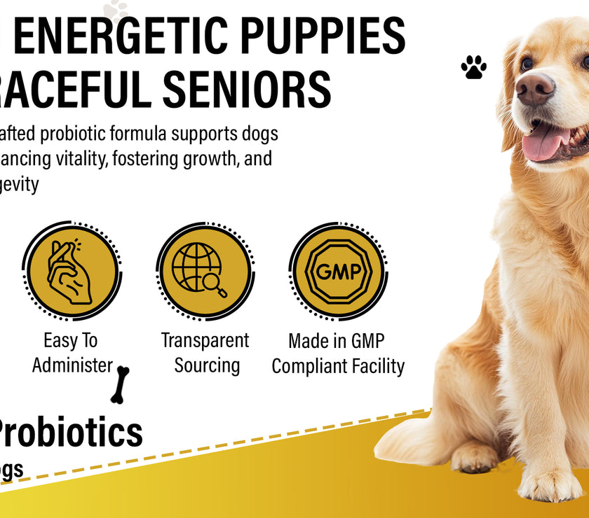 Dog Vitamins (Probiotics )