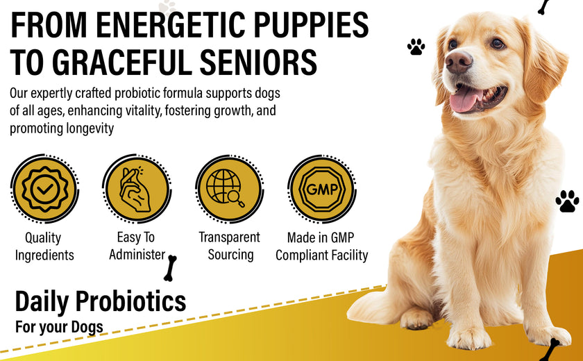 Dog Vitamins (Probiotics )