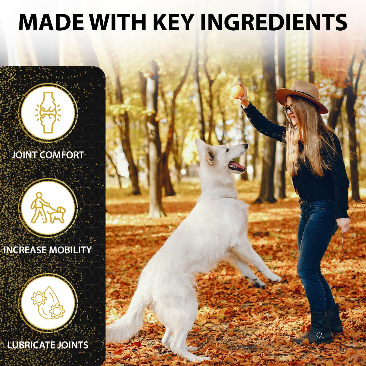 WagTales | Hip and Joint Health | Dog Joint Supplement Health