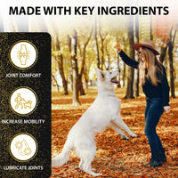 WagTales | Hip and Joint Health | Dog Joint Supplement Health