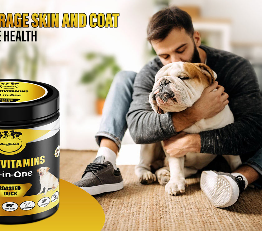 Dog Multivitamin, Chewable