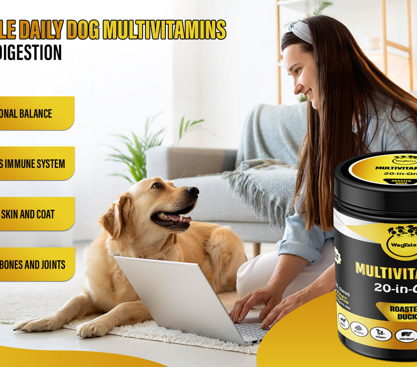 Dog Multivitamin, Chewable