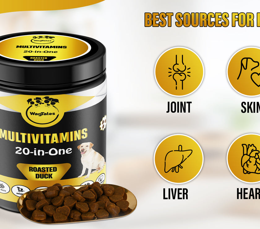 Dog Multivitamin, Chewable