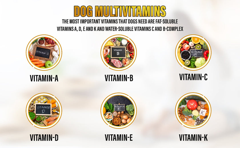 Dog Multivitamin, Chewable